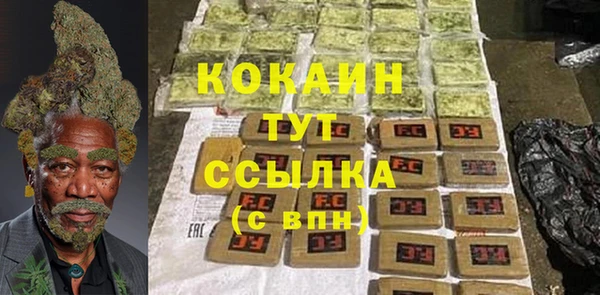 стаф Абинск