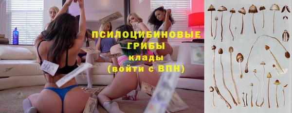 соль ск Инта