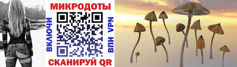 Псилоцибиновые грибы прущие грибы  цена   Цивильск 